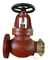 Marine Cast Iron Globe Hose Valve JIS F7333 5K/10K with Nakajima Cap