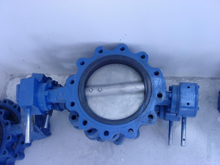 Marine Cast Iron JIS Air Pipe Head with Float Ball