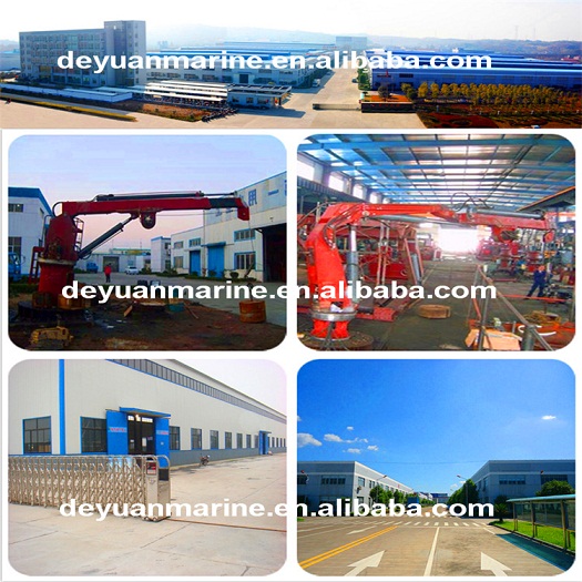 Type Rls Hydraulic Crane