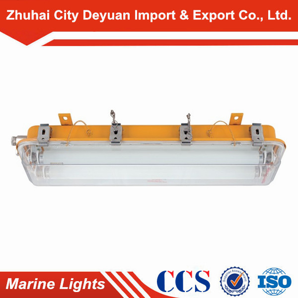 Cfy21-2 Explosion-Proof Fluorescent Light