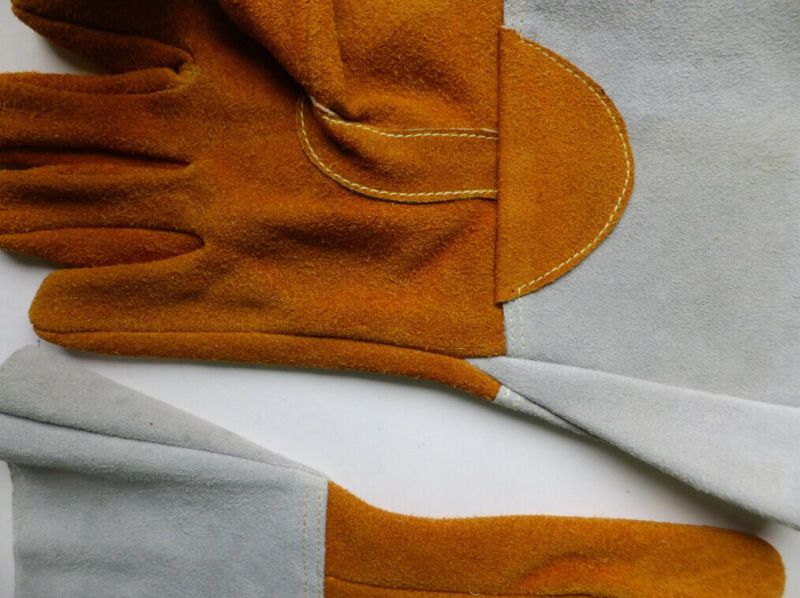 10.5 Inch Industrial Glove Leather Welding Gloves and Nitrile Gloves Factory